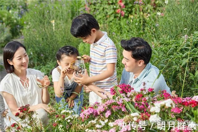 大脑|孩子记忆力差，学过的东西很快就忘提升记忆力，只需做好三点