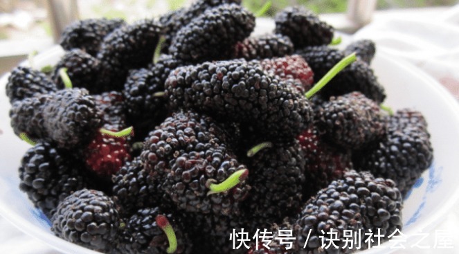 肝脏不好|肝不好的人,这4类“伤肝菜”要少吃!若你再馋可能加重肝脏负担