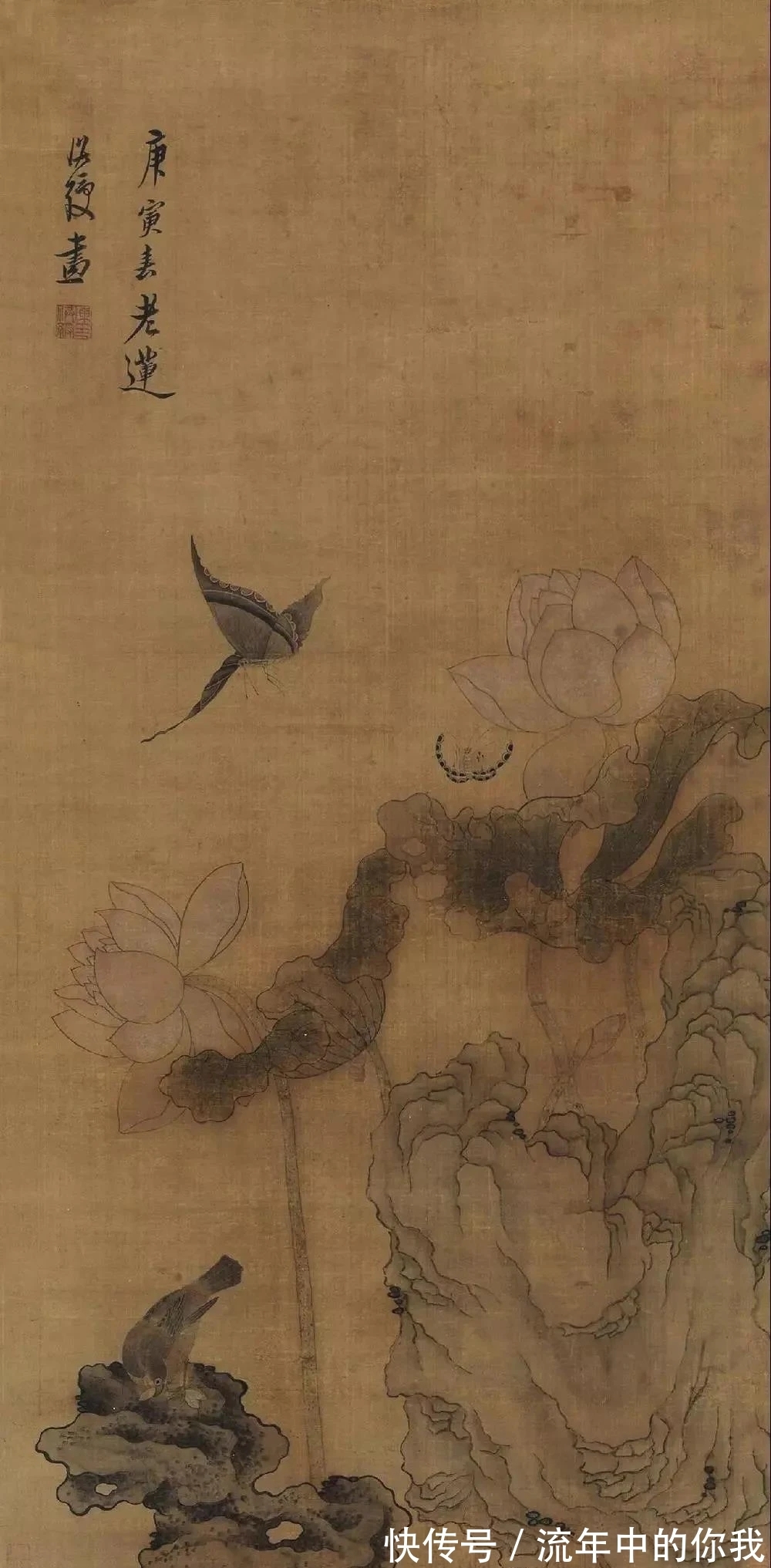 陈老莲$花鸟画|陈老莲画莲,中规中矩,一点不怪异,为什么?