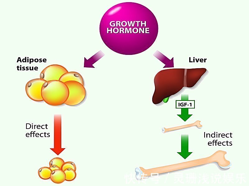 小朋友|想让娃成为大高个,一个关键时间点父母不可错过,关系到生长激素