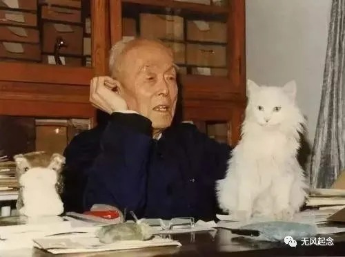 好好学习!季羡林身为国学大师,为何却说“读书越多,人生就越坎坷”?