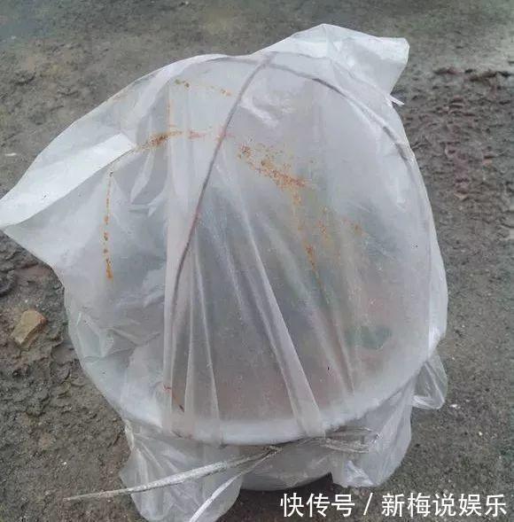 最近1个月，5种花赶紧“扦插”，生根快、长得旺，错过等明年