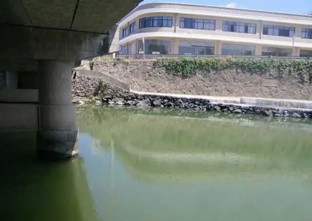 晚秋的5大黄金钓点，找到这些钓点，坐等鱼护装满！