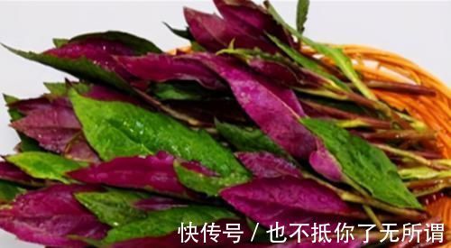 强身健体|女性爱美,推荐3种食物,女性常吃能呵护子宫,越吃越年轻