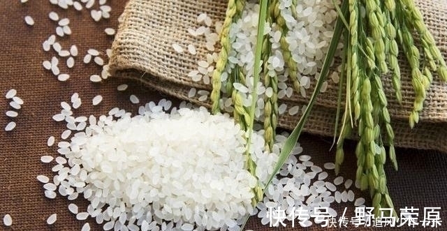 新米还是陈米,教你1招,再也不怕挑错,味道好营养高,不浪费钱