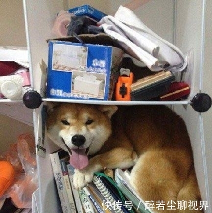 |幽默笑话:有一个成语,说的是一个人原本是没有罪过的……