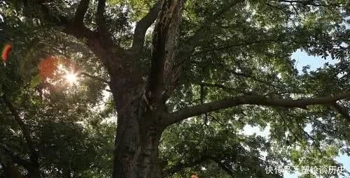 签约|签约作家余江/我的父亲