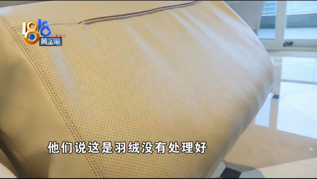 羽绒服|三万多的沙发，躺着闻到猪圈味？