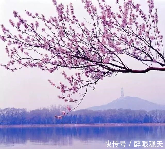 超过|三个处世之道,做到一个,你的情商就已超过90%的人