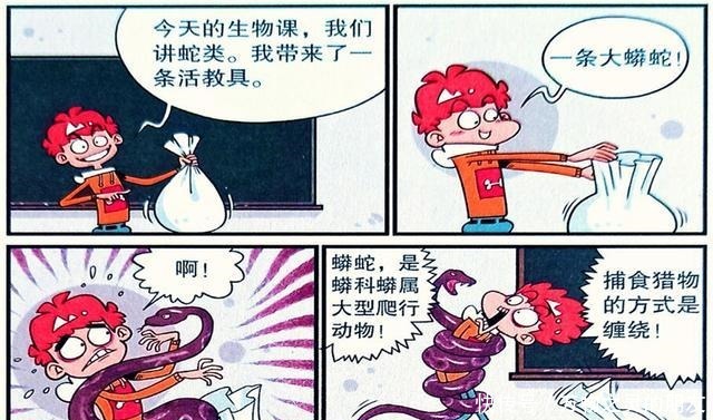 生物|衰漫画自从衰衰当上生物老师，课堂气氛瞬间就欢乐了