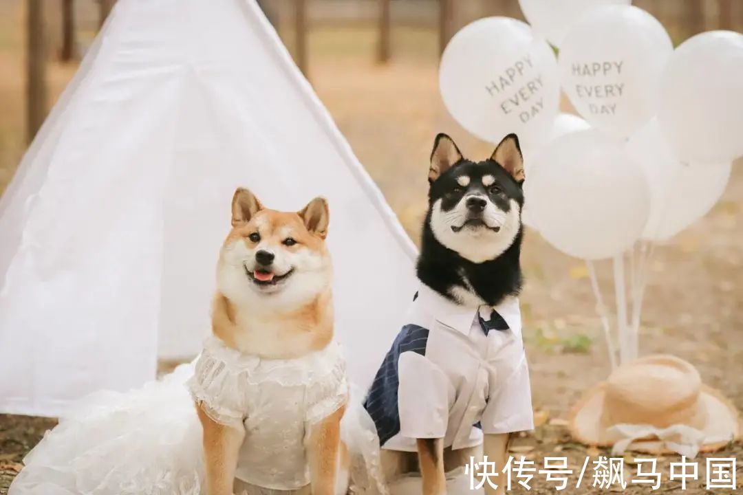 人群|2022年购物中心要迫切掌握的八大消费人群需求画像
