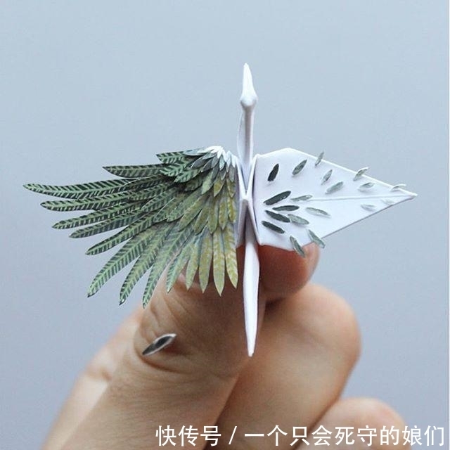 惊艳|男子每天折一纸鹤 1000天后作品惊艳众人