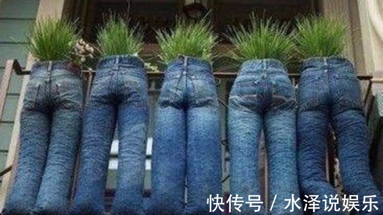 这东西|他用这东西养花,把半夜踩点的小偷吓半死,长势旺到不行!