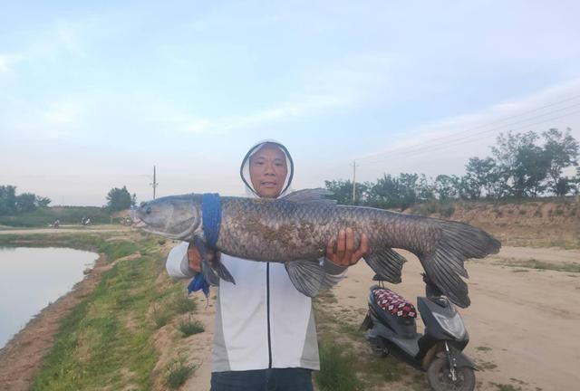 20年经验之谈,钓大鱼这几点很关键,不要等到切线爆竿才后悔!