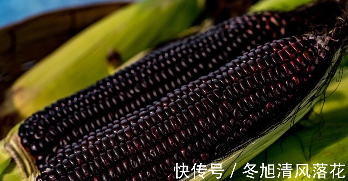 紫玉米|冬天,女人记得吃6种食物,花青素含量高,吃得值!