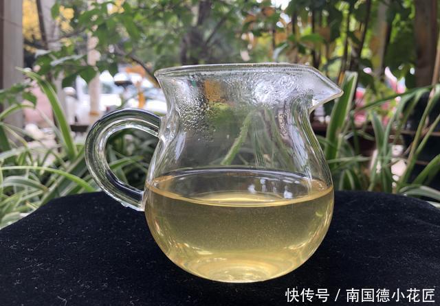  春茶|《老徐鉴茶》389期：凤庆三岔河头春茶品鉴报告（云南茶友寄）