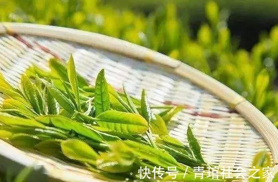 蛋白质|关于养肝护肝，这九种食物吃多了会使肝脏受伤