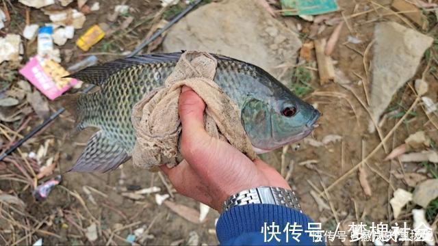 这2种鱼已成功“入侵”我国,吃货也束手无策,钓到该如何处理