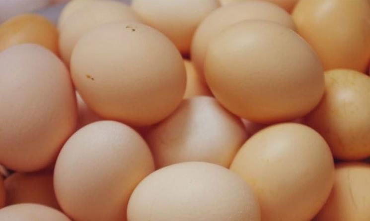 磷脂|鸡蛋是好吃,但吃鸡蛋有1大禁忌,你是不是傻傻的不知道!