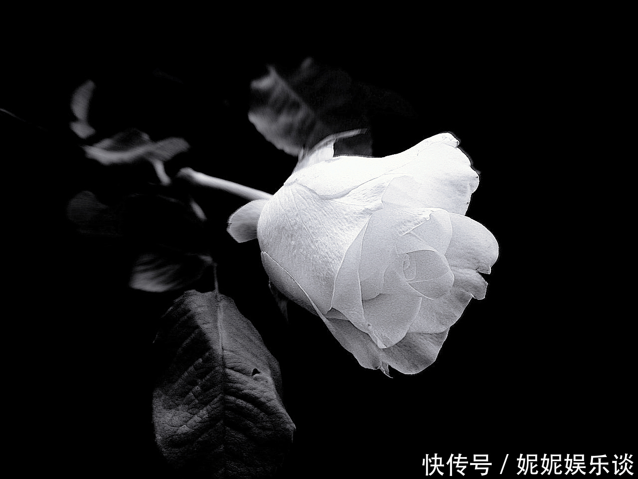 亲朋好友|捷映幸福浪漫的婚礼开场视频,于欢乐声中,开启美好生活