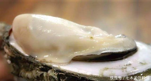 叫生|明明长得一样,为什么一个叫生蚝,一个叫牡蛎