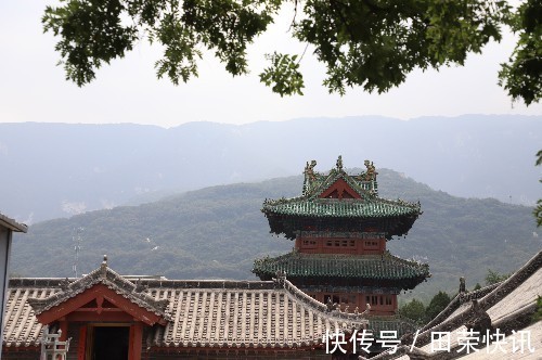 老树|南山藏了我的童年，轮回过后我看懂沧桑，南山最后落在我的心上！