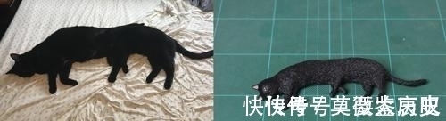 小猫|全球的猫都想屏蔽这个日本人,他到底做了多少沙雕手办?
