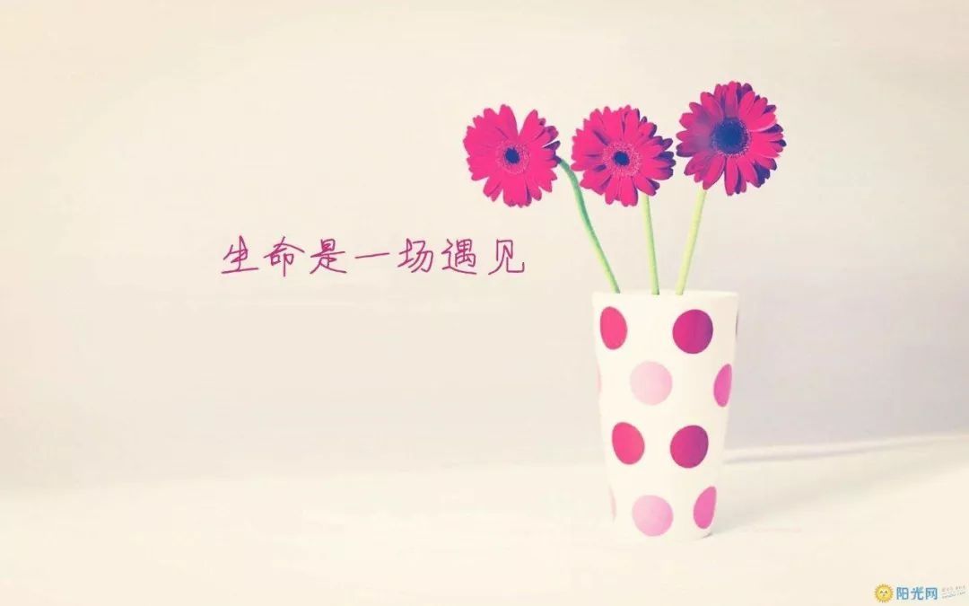 好孩子|致家长：教育好孩子，就是投资自己的后半生（老师转给家长）