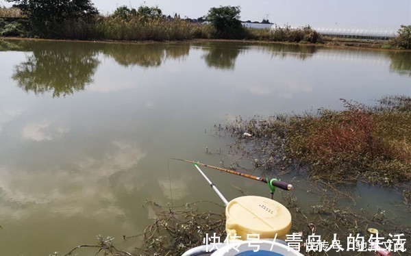 寒潮|钓鱼人“喜迎”寒潮降温天，遇上降温天，鲫鱼应该这样钓！