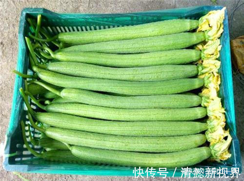 搅拌均匀|炒丝瓜时,很多人第一步就做错了,难怪炒的丝瓜发黑没食欲