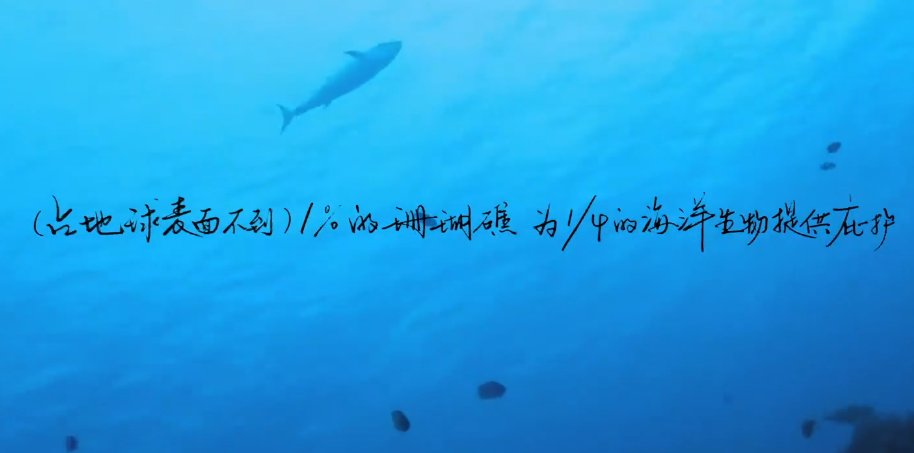 潛水|《你好生活》：保護珊瑚的意義重大，尼格買提呼吁保護珊瑚