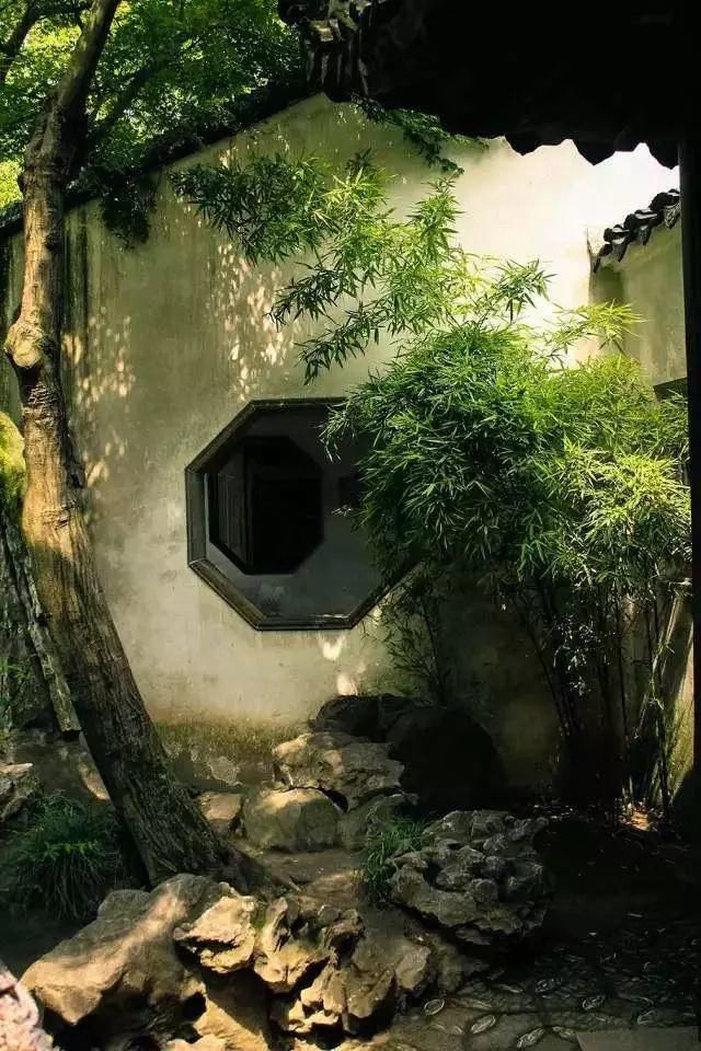 一些山石,美了整个院子