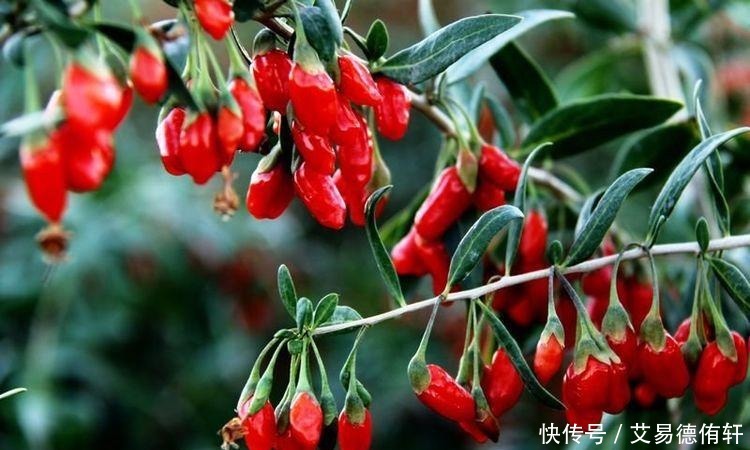 男人晨起3个动作坚持做,让你的肾“壮”如18岁