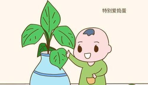 小林|如果孩子有四个“缺点”，长大往往大有出息，家长别扼杀了