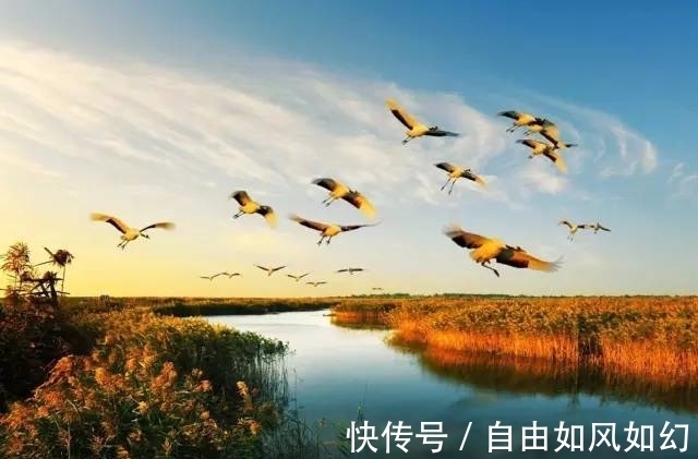 春夏秋冬@七绝·春夏秋冬四时歌