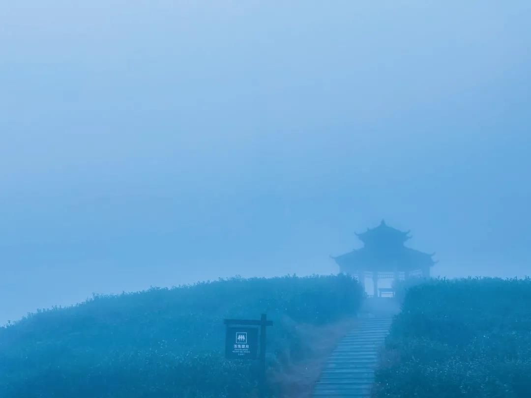 天龙寺|一脚踏三州，极目千万里