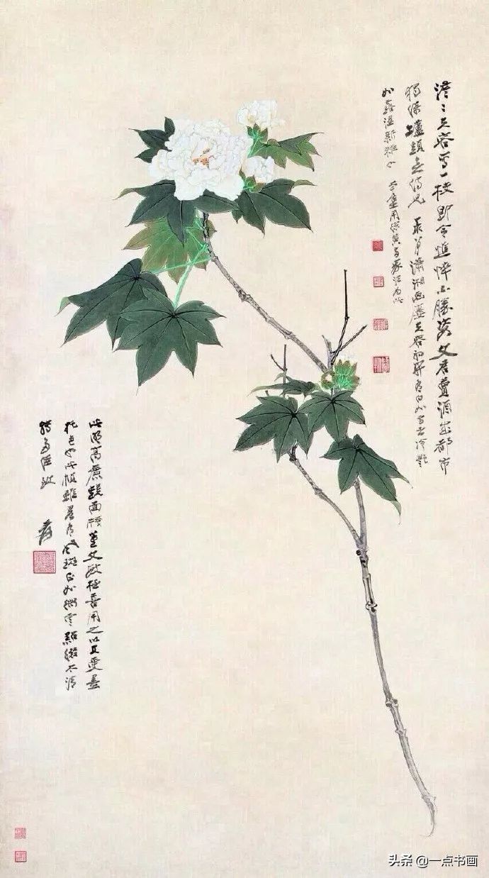 工笔&张大千 花鸟画100幅高清欣赏