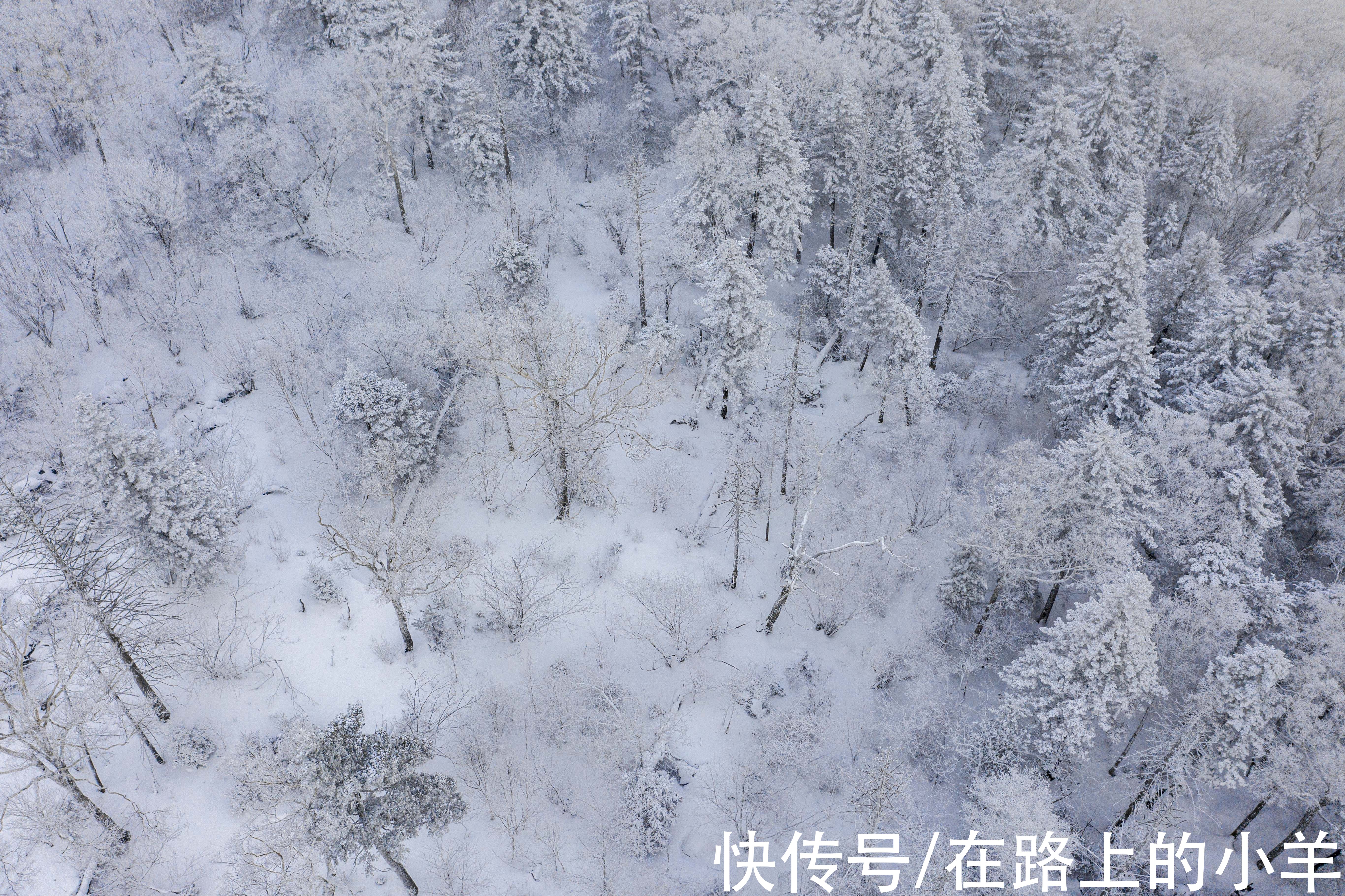 万科|旅游全国唯一“省和市同名”的城市，体验不输北海道的玩雪天堂