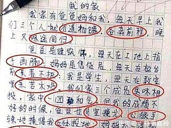 小学生为凑字数“硬塞”成语，老师看后直摇头别说是我的学生