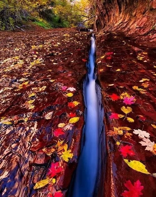 中老年人|50岁以后，不要自作多情