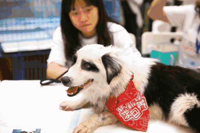 人群|2022年购物中心要迫切掌握的八大消费人群需求画像