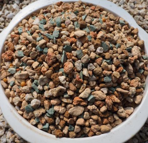 多肉变老桩，选盆不能凑合，用大盆效果差，教你不用颗粒土养好