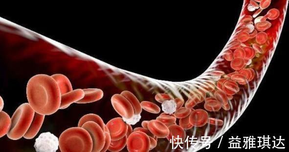 血管|此物被誉为血管的“清道夫”,每天吃一点,不用担心“血栓”打扰