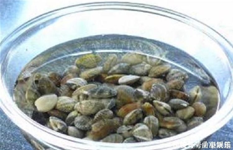 洗花蛤只会放盐 酒店大厨教你1招, 沙子吐得又快又干净, 贼管用