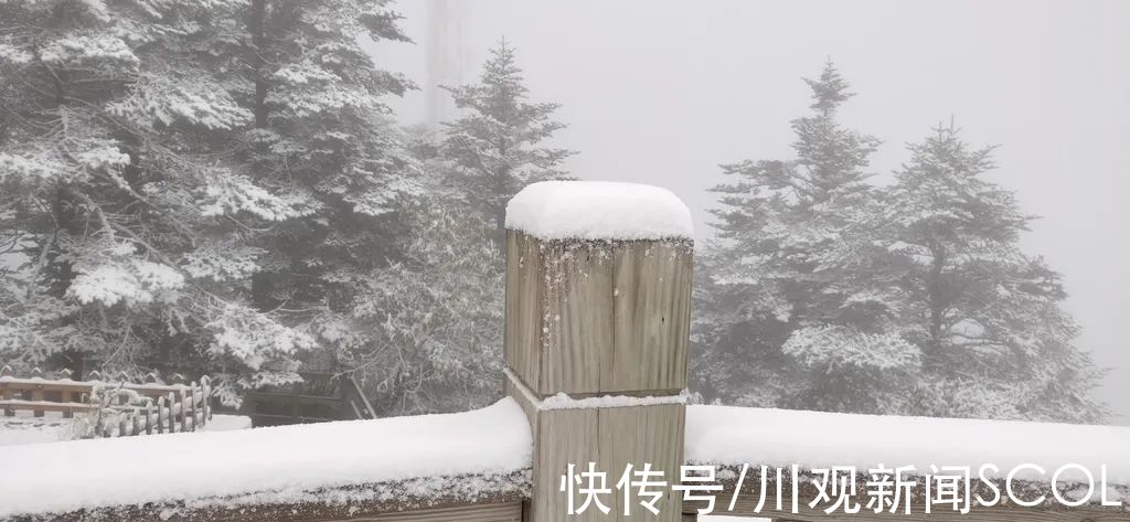 日月坪|昨晚，成都下雪啦