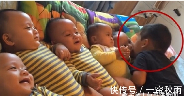 哥哥|3岁哥哥照顾5胞胎弟弟,弟弟们看到哥哥过来,妈妈都觉得省心了