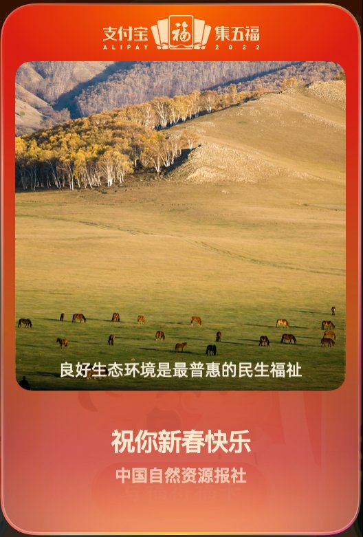 中国自然资源报社|虎年“线上巡护”东北虎！1.75亿人获“自然守护者证书”