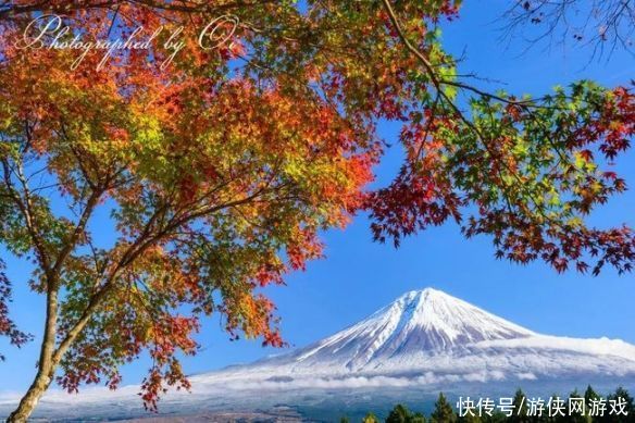 让人挪不开眼！日本富士山的四季美景 绝美风光一览