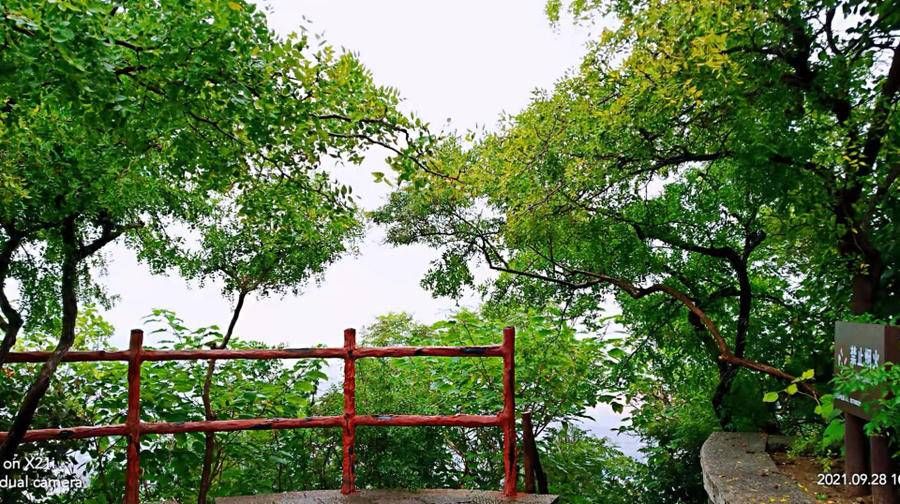 料青山|雨中山里走一走，看风景，洗尽风尘慰余生