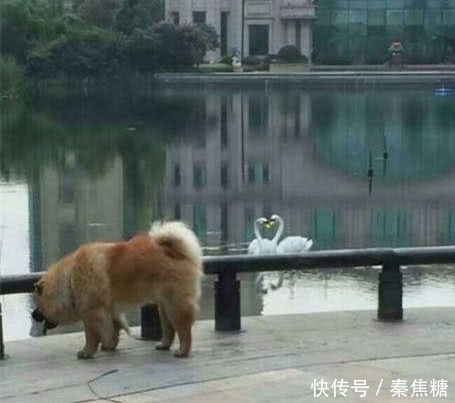 姑娘们这样是不行的,还是让我给你来压腿吧